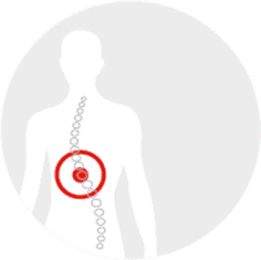 Target showing area needing mid back pain treatment