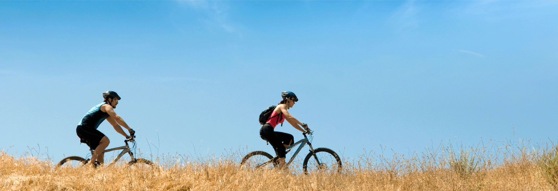 Chiropractor Sydney CBD | The Best Sydney Chiropractic Care