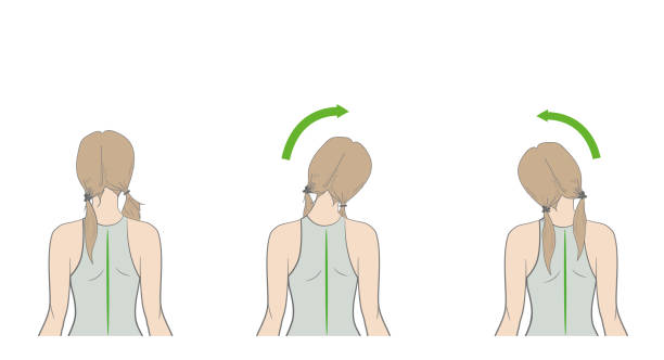 The Ultimate Guide To Posture Correction - Spine & Posture Care Sydney