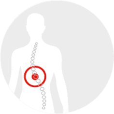 Mid Back Pain Relief